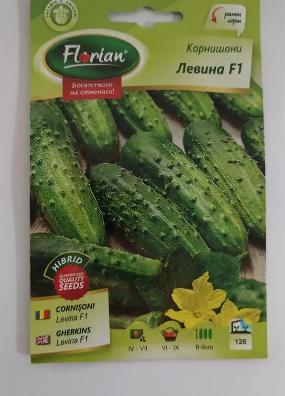 Корнишони Левина Флориян F1 1 гр